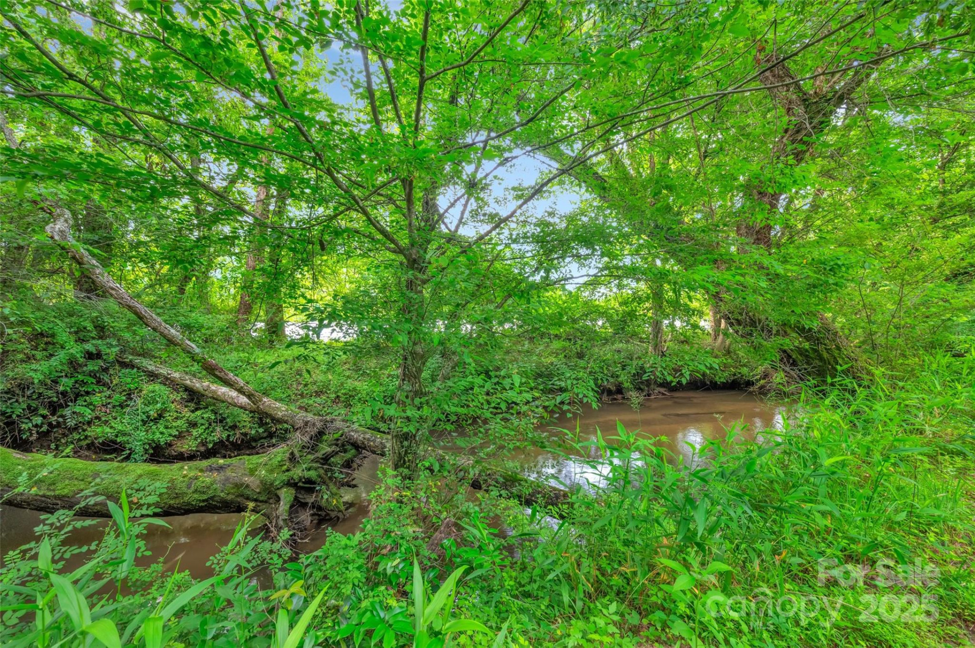 26 Bonnies Cove Trail - Photo 41