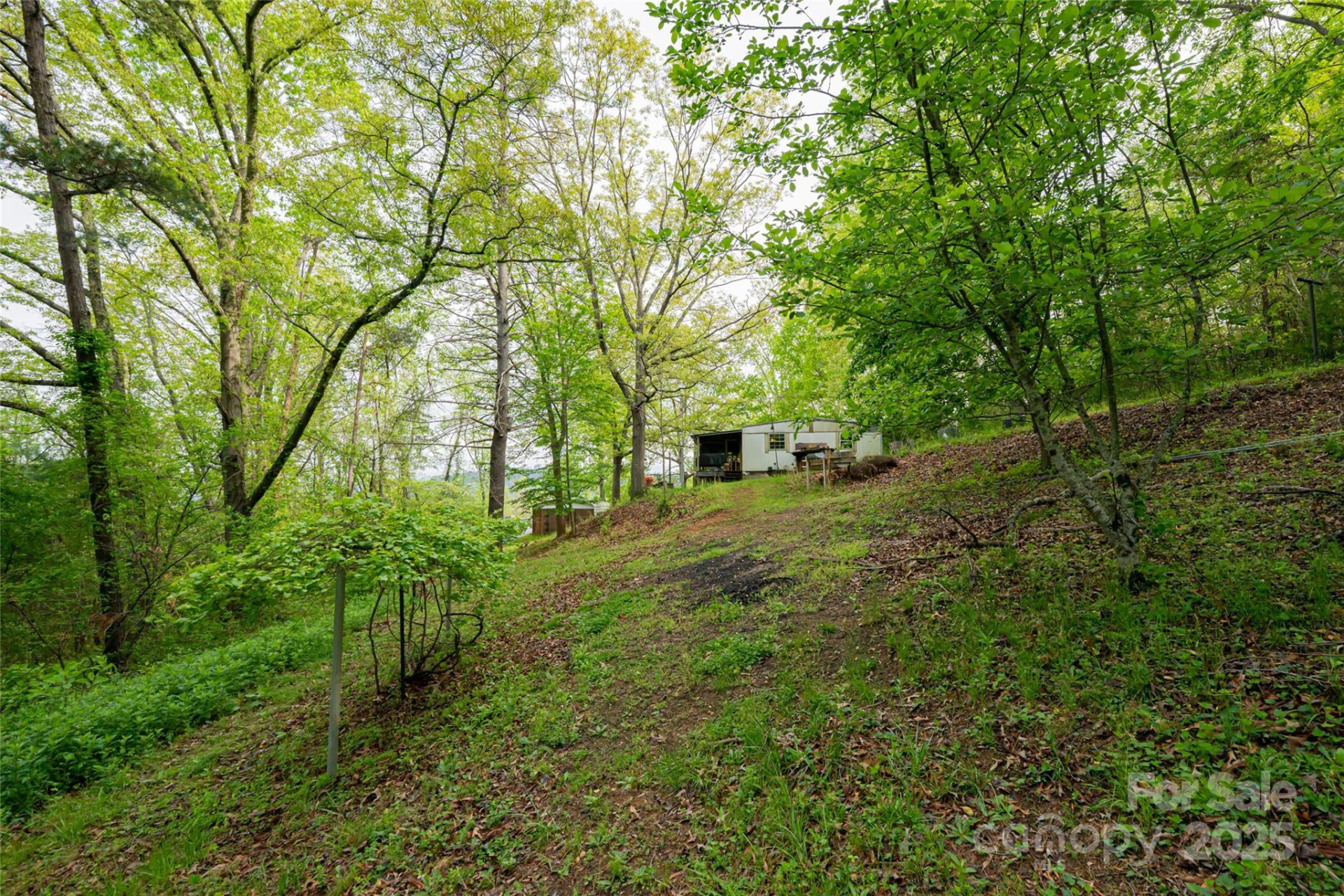 25 Coal Creek Lane - Photo 11