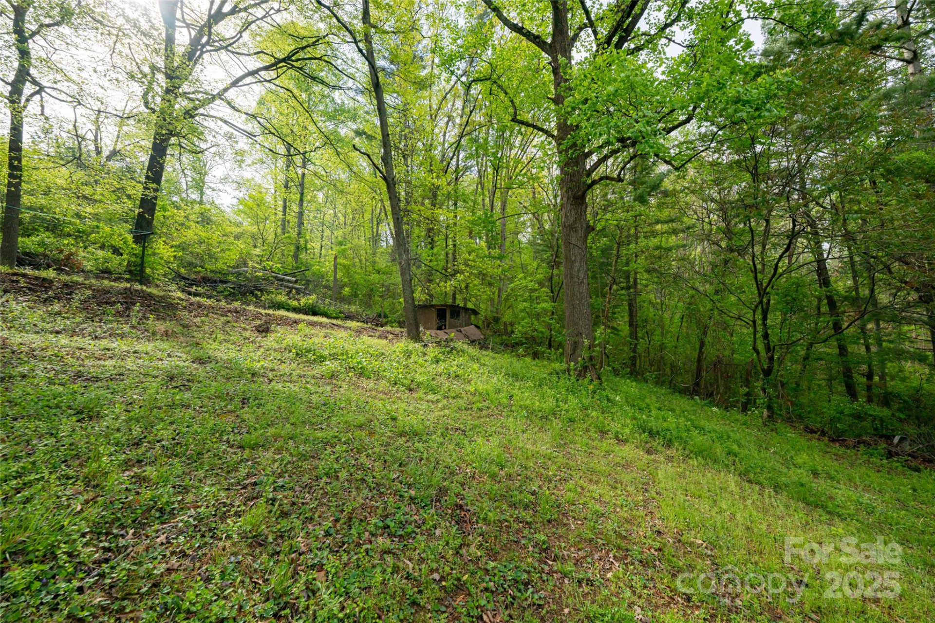 25 Coal Creek Lane - Photo 12