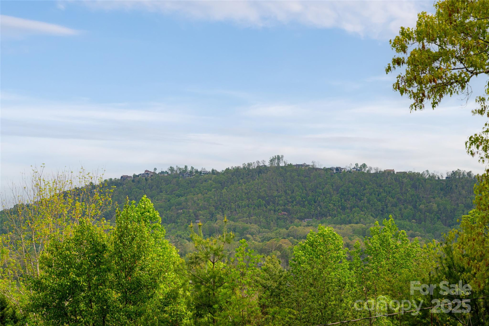 25 Coal Creek Lane - Photo 14