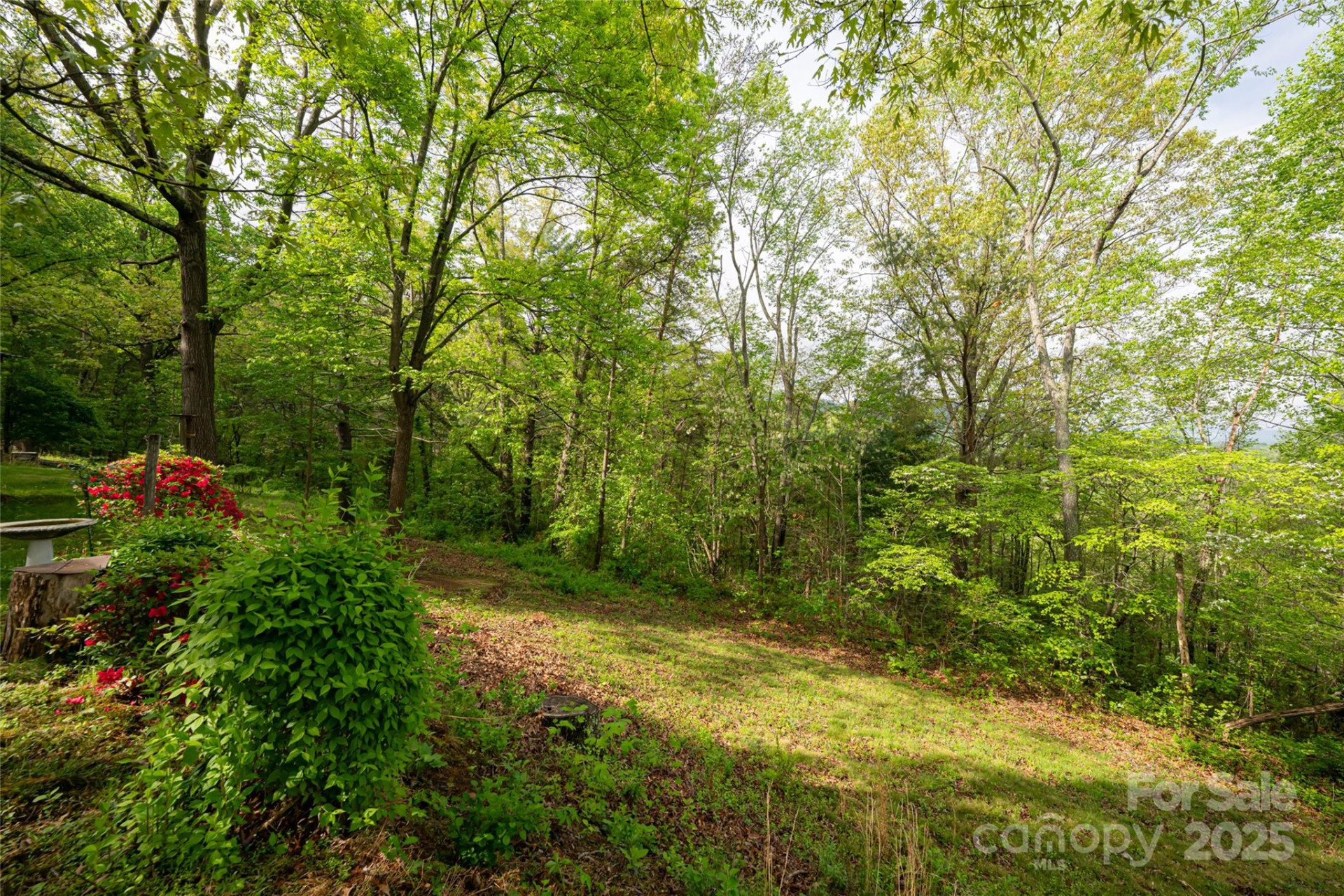 25 Coal Creek Lane - Photo 21