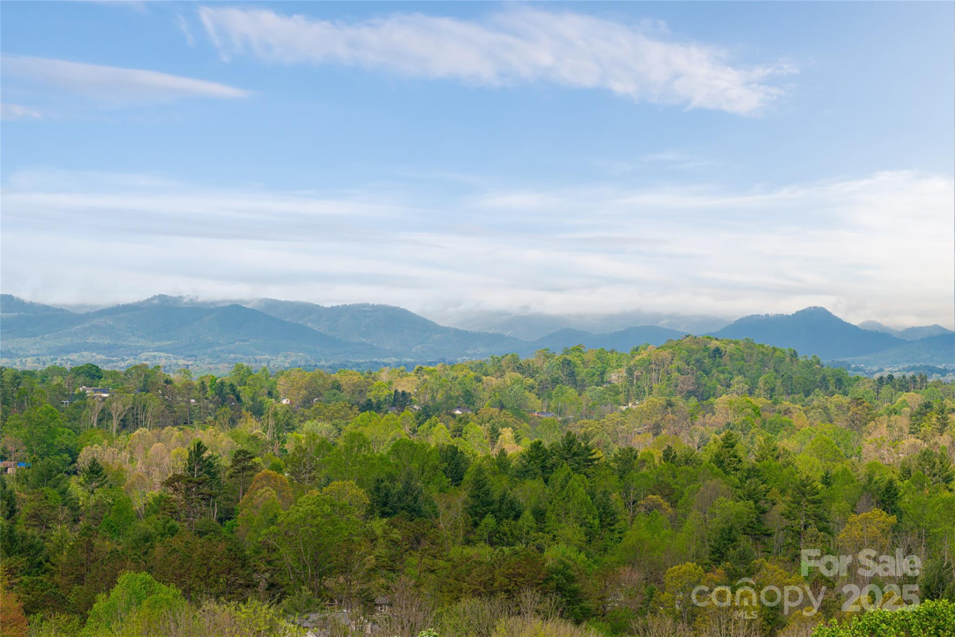 25 Coal Creek Lane - Photo 4