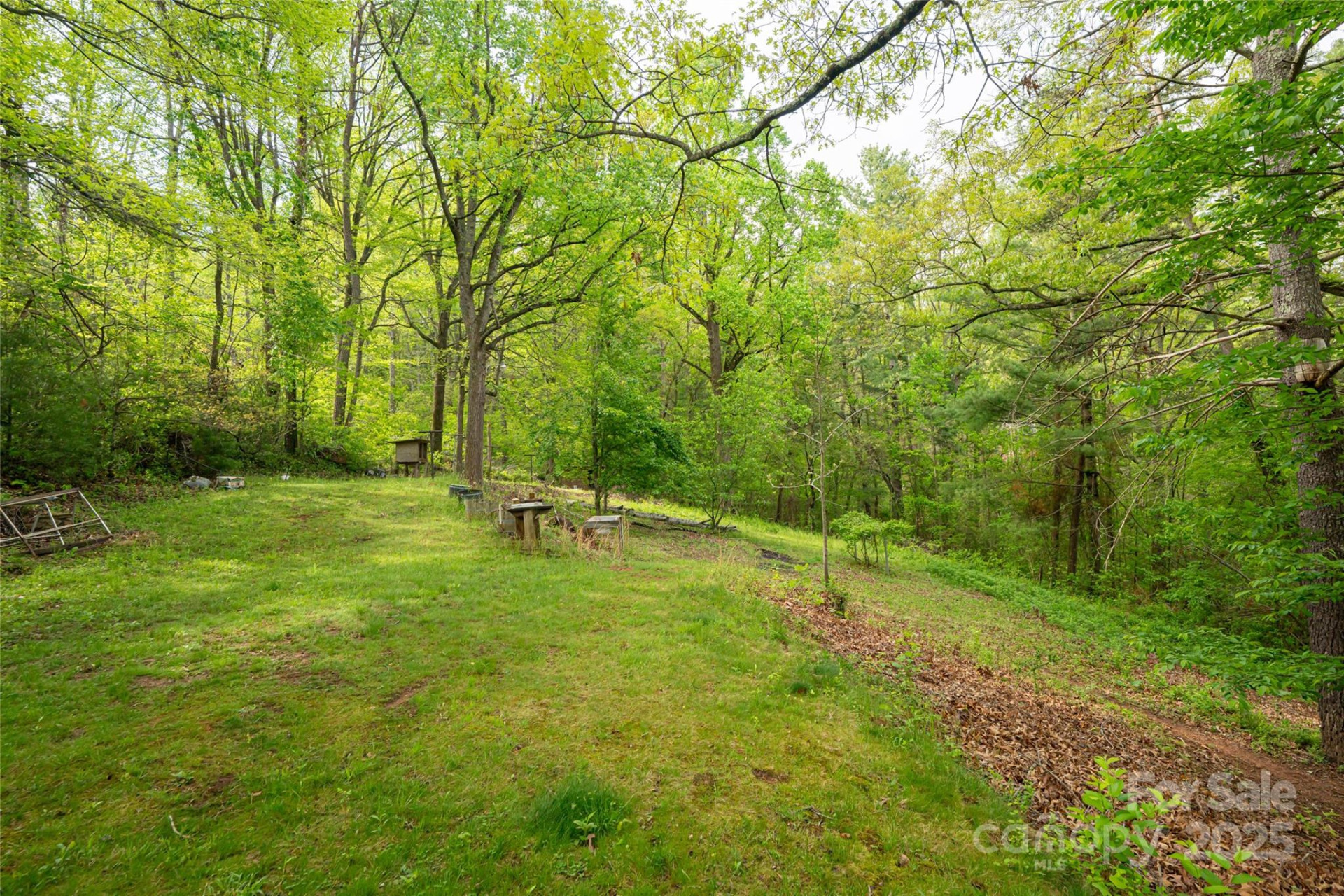 25 Coal Creek Lane - Photo 6