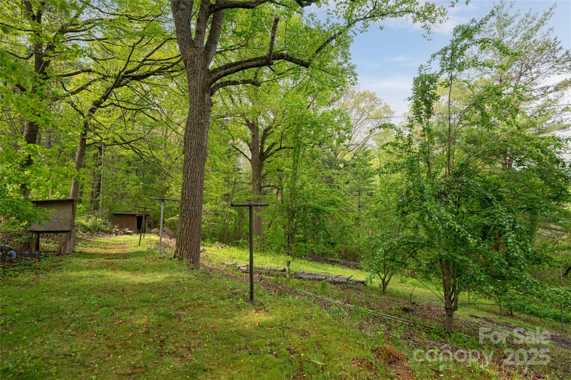 25 Coal Creek Lane - Photo 8