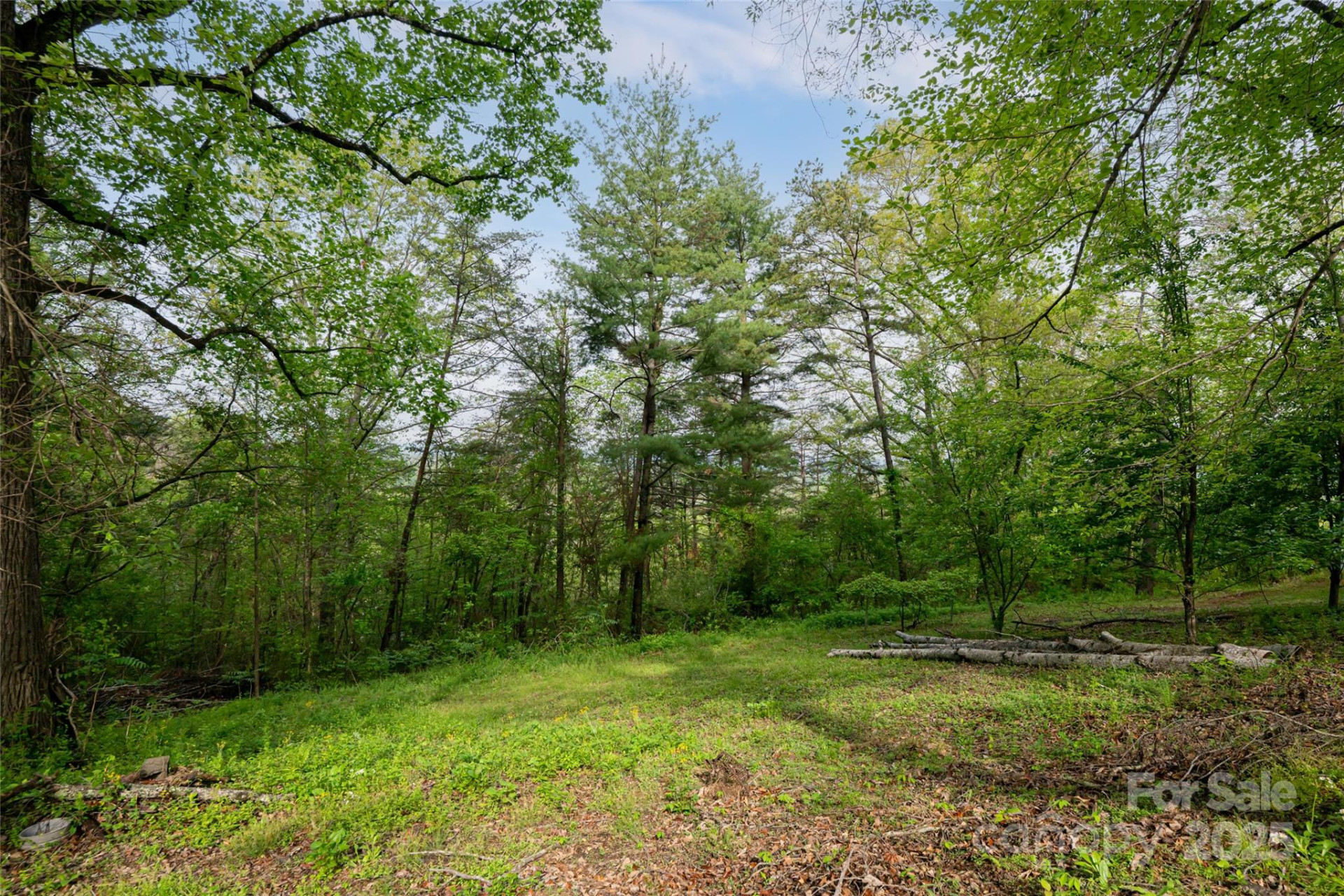 25 Coal Creek Lane - Photo 9