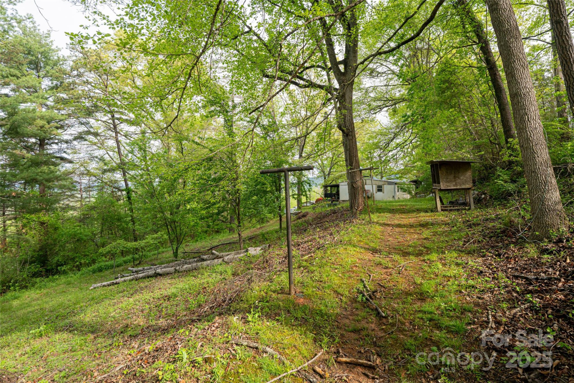 25 Coal Creek Lane - Photo 10
