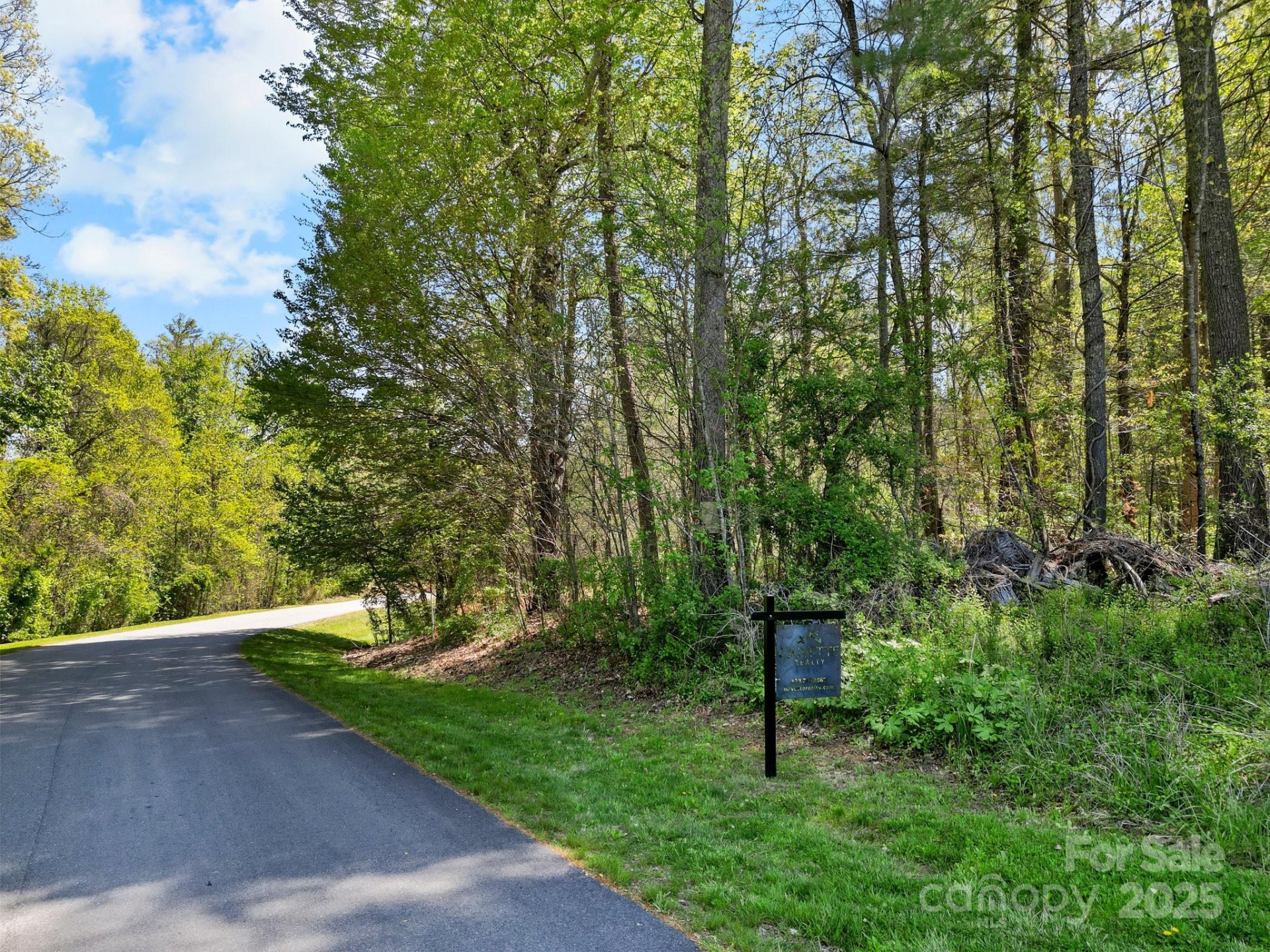 17 French Broad River Way #98 - Photo 2