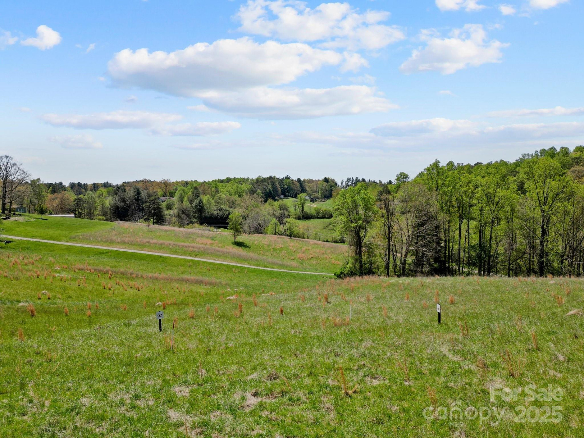 128 Lilikoi Lane #92 - Photo 2