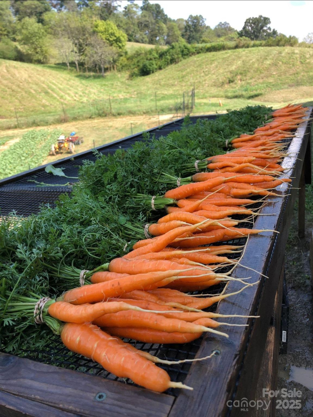 128 Lilikoi Lane #92 - Photo 10