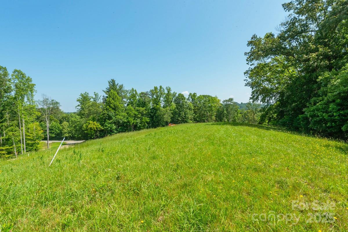 116 Lilikoi Lane #95 - Photo 2