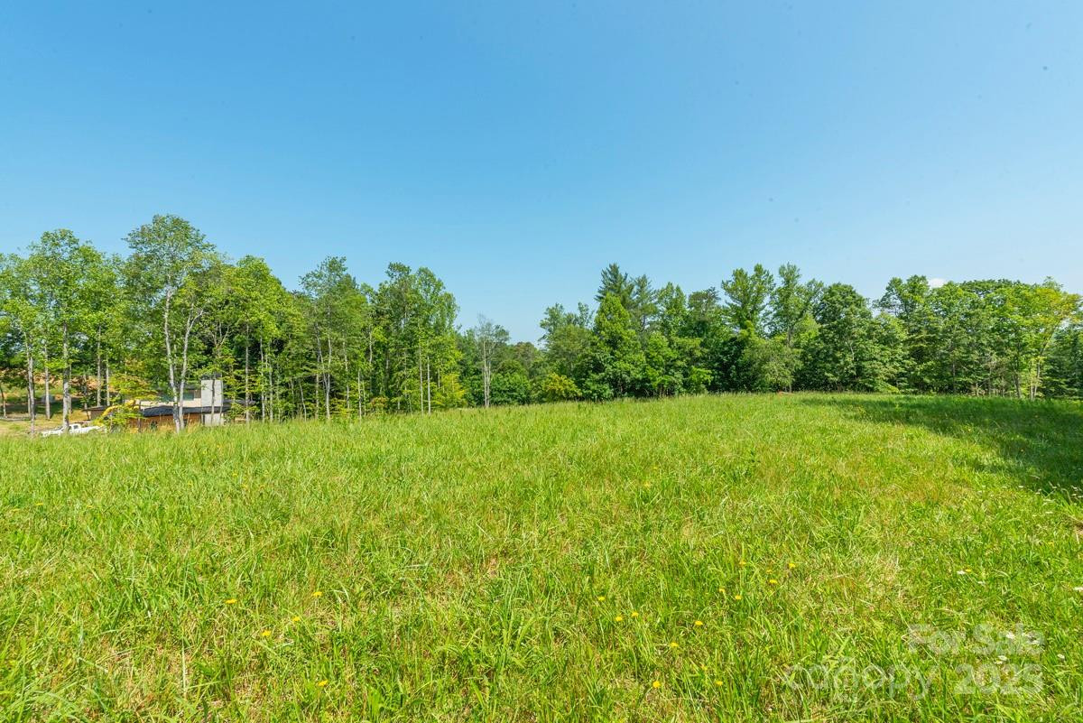 116 Lilikoi Lane #95 - Photo 3