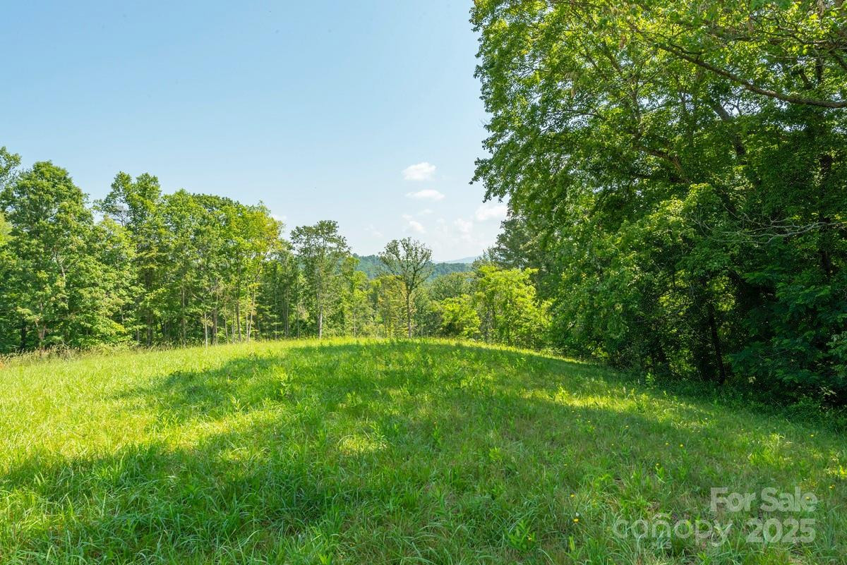 116 Lilikoi Lane #95 - Photo 4