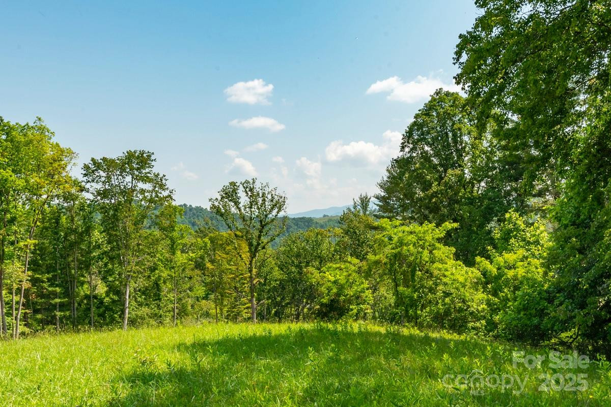 116 Lilikoi Lane #95 - Photo 5