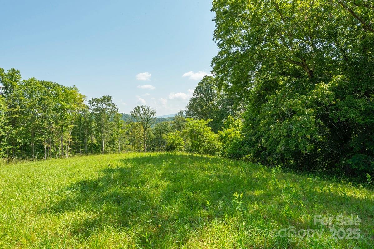 116 Lilikoi Lane #95 - Photo 6