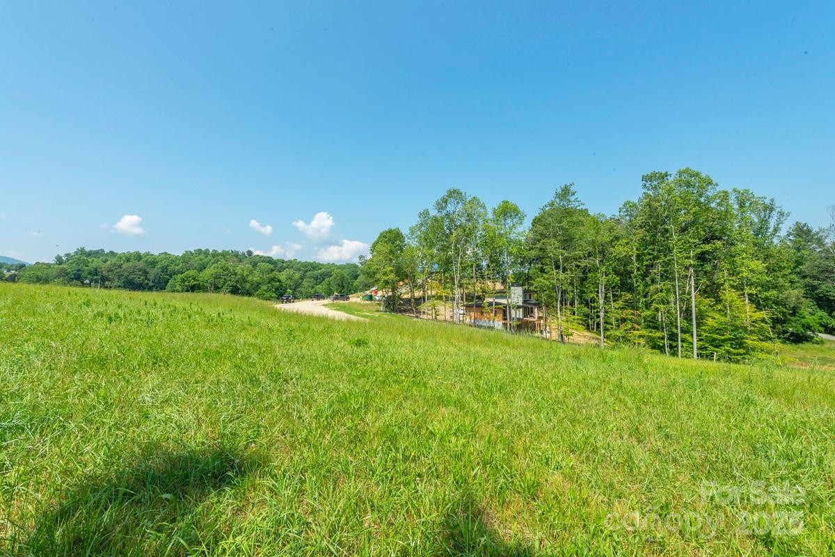 116 Lilikoi Lane #95 - Photo 8