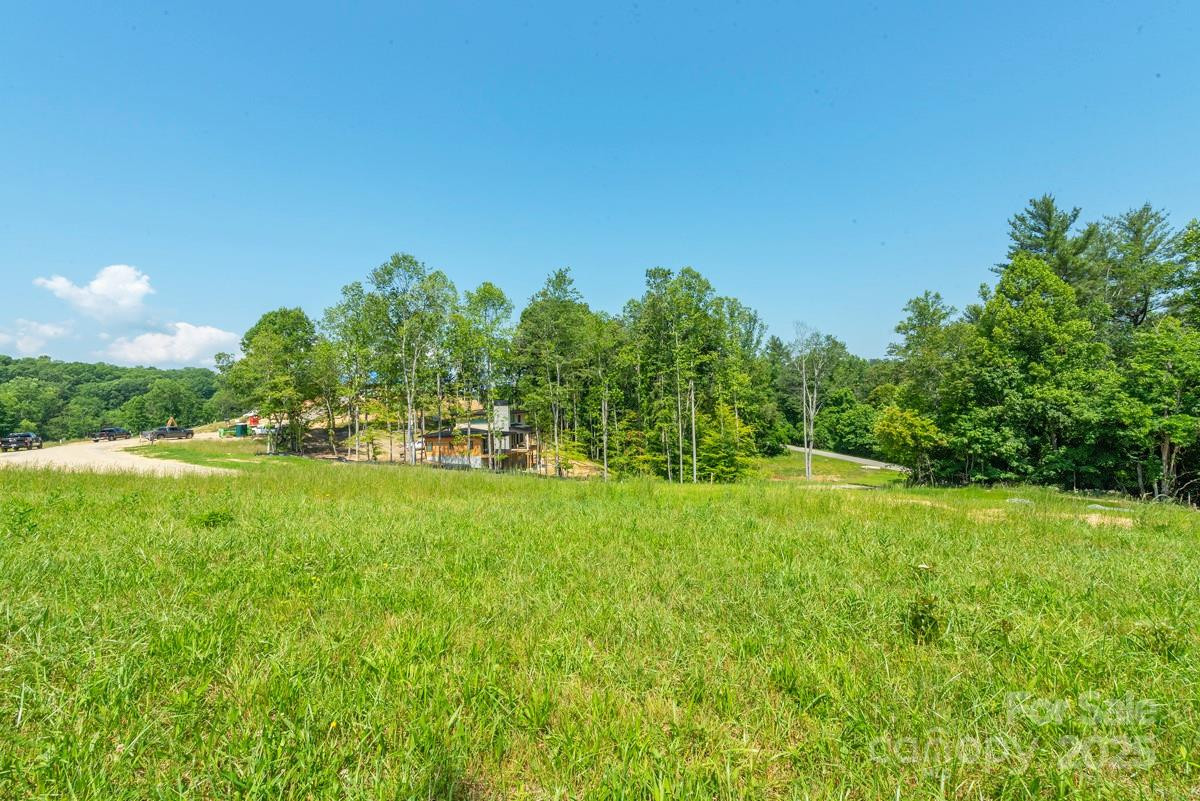 116 Lilikoi Lane #95 - Photo 9