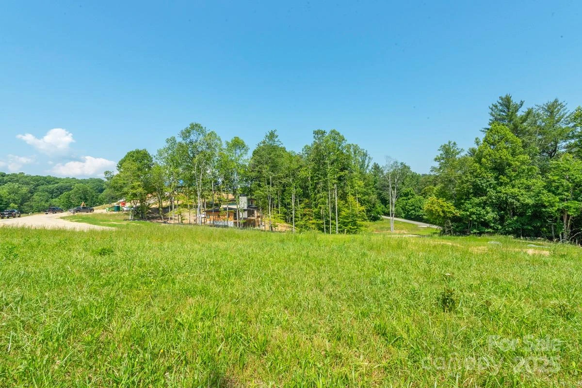 116 Lilikoi Lane #95 - Photo 9