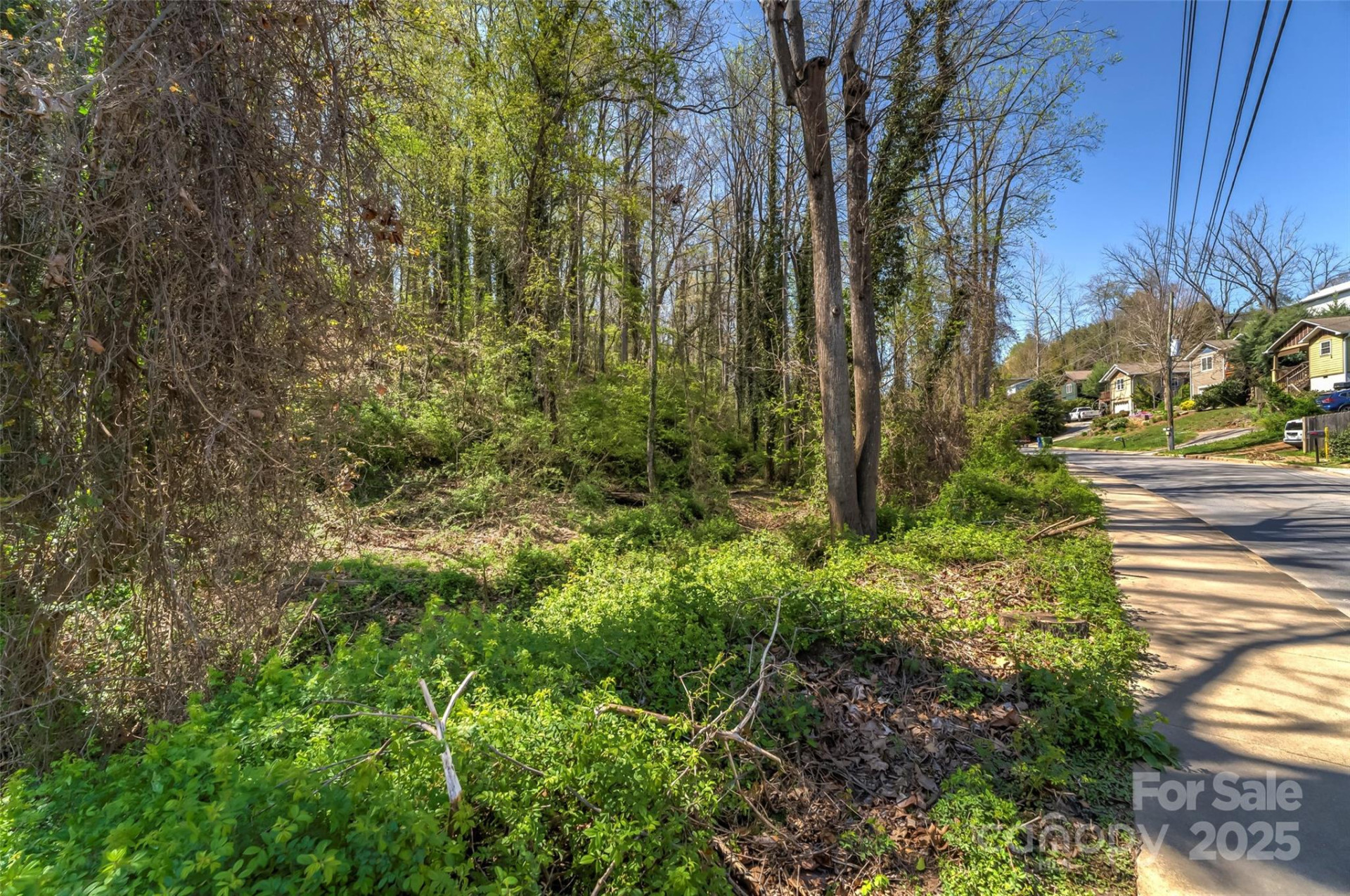 99999 State Street - Photo 10