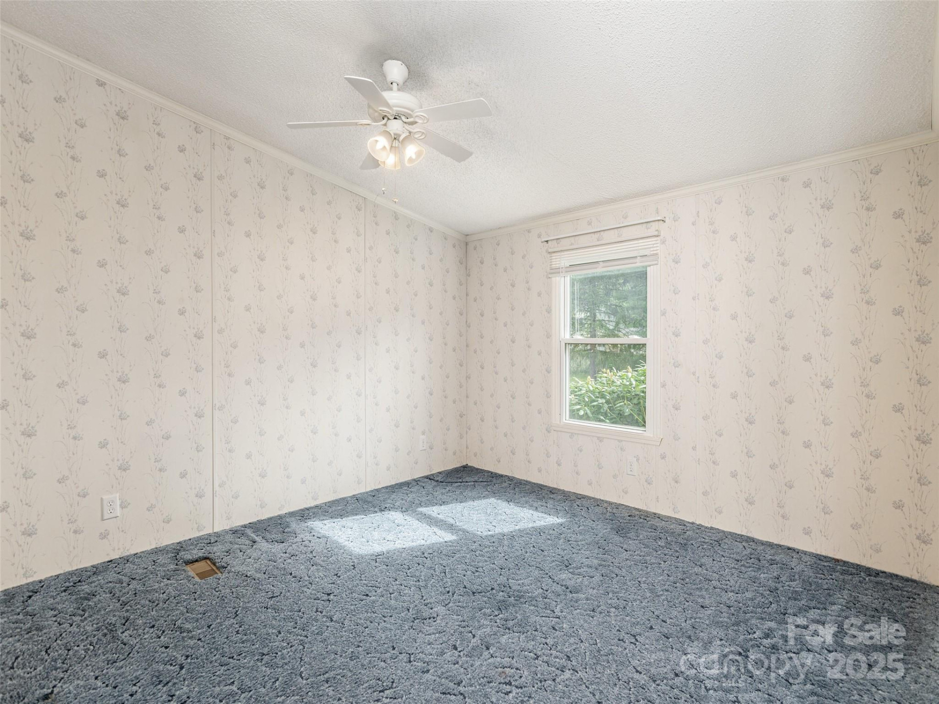 34 Eve Drive - Photo 15