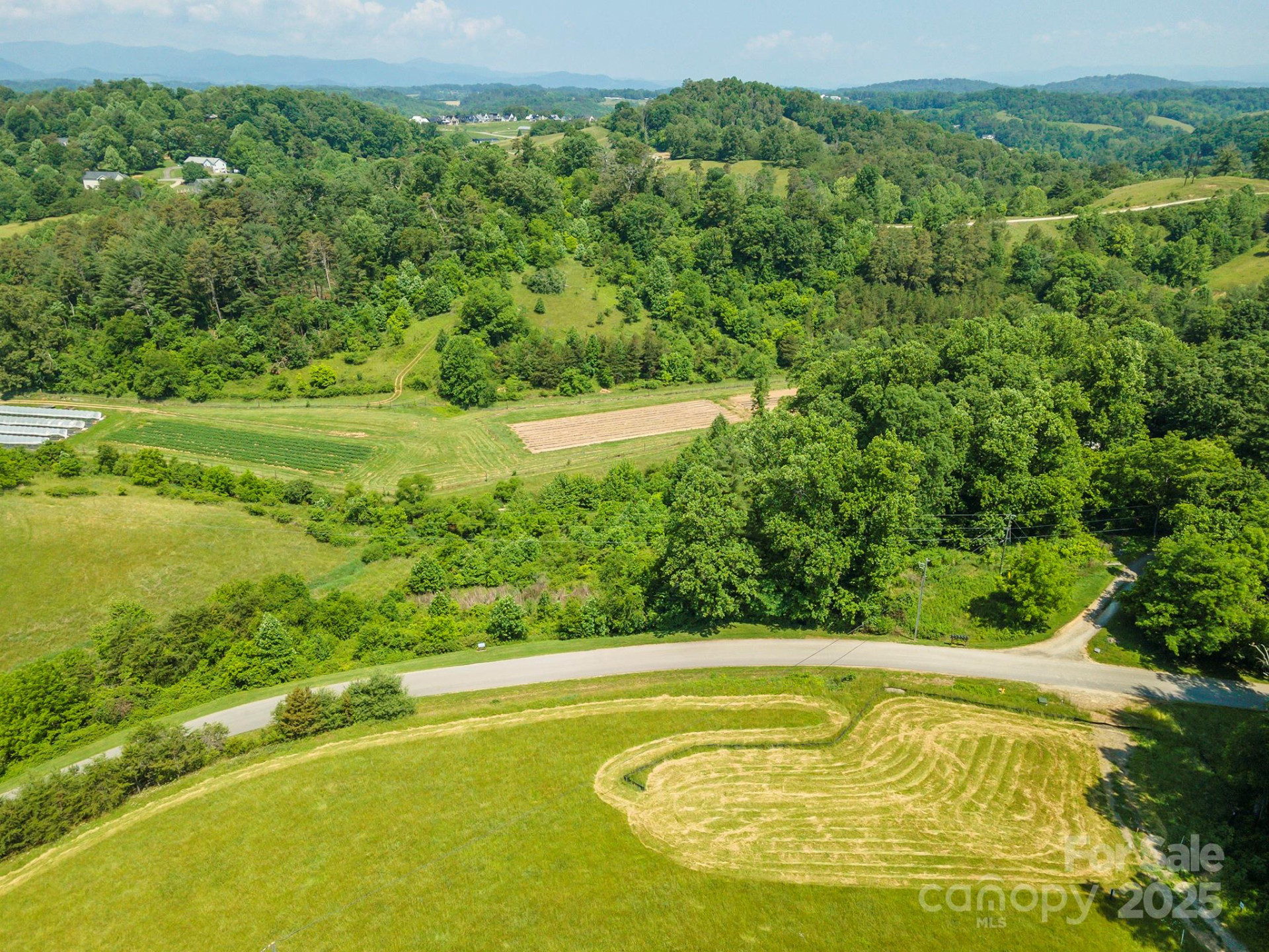 15 French Broad River Way #90 - Photo 2