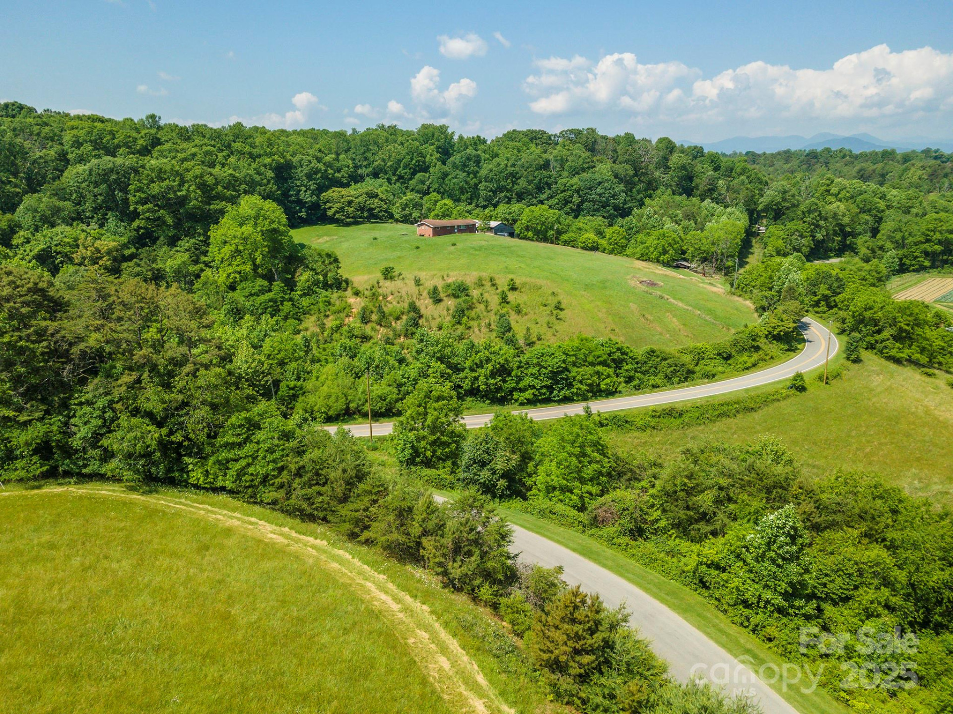 15 French Broad River Way #90 - Photo 11