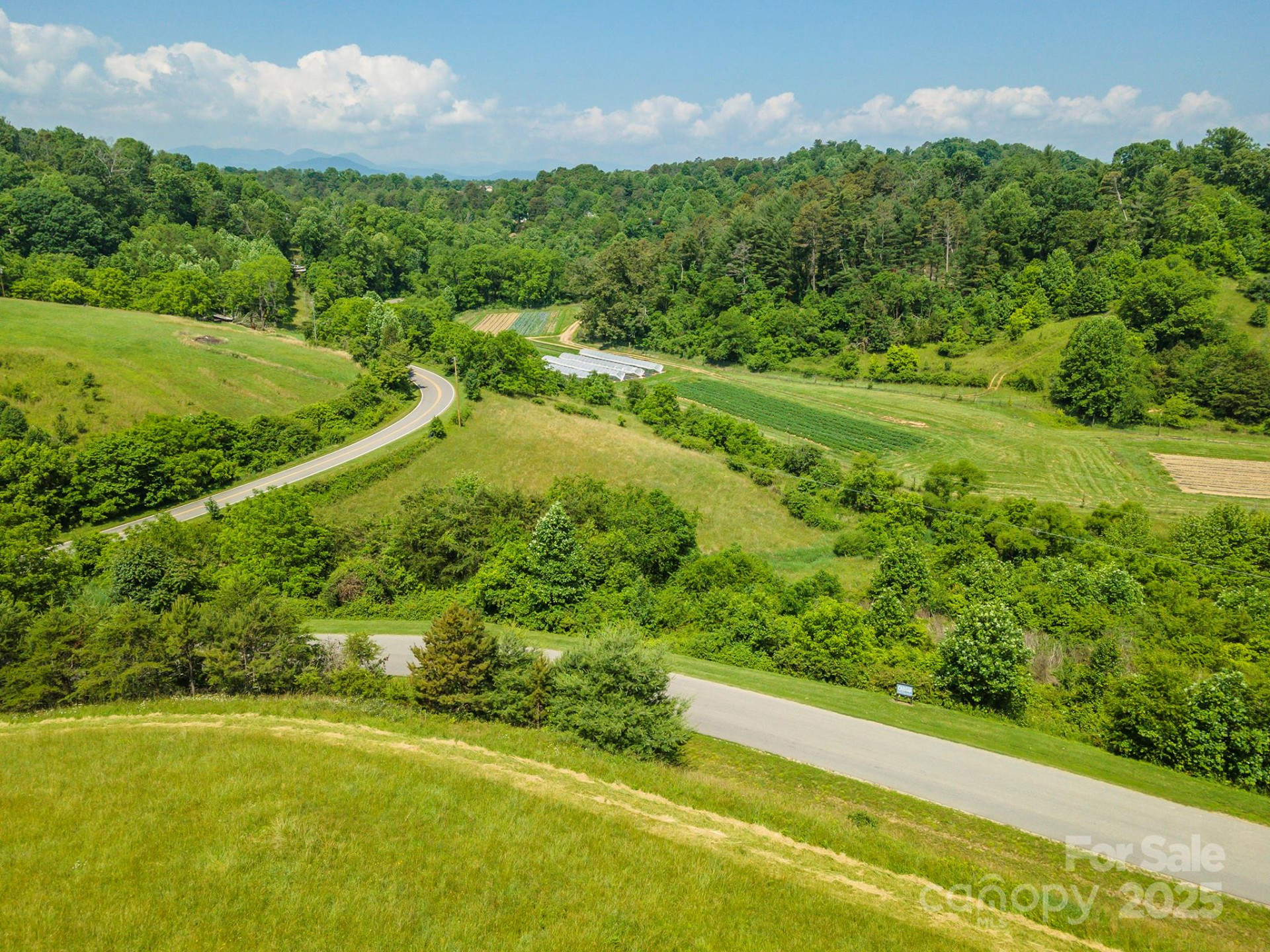 15 French Broad River Way #90 - Photo 12