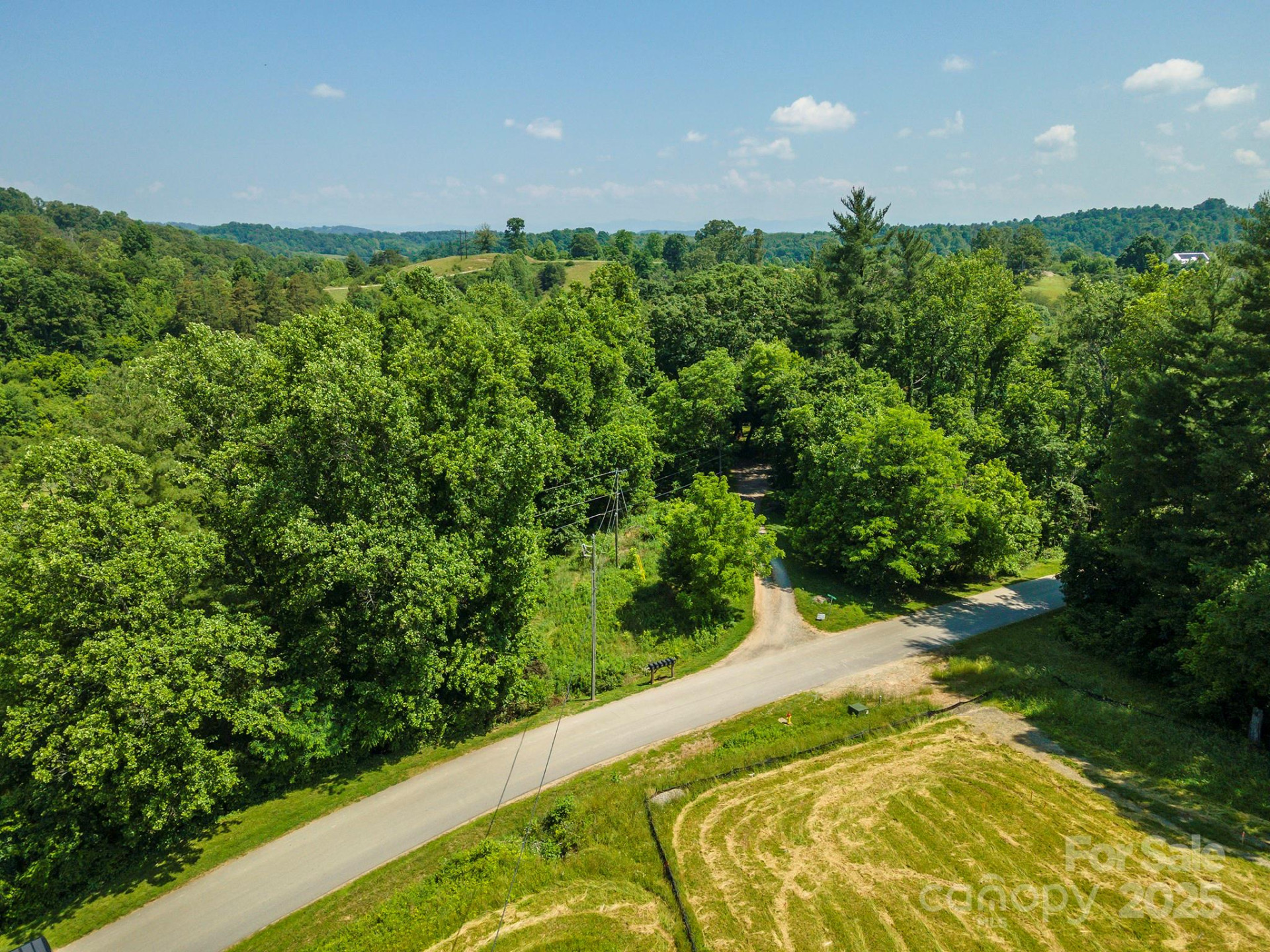 15 French Broad River Way #90 - Photo 13