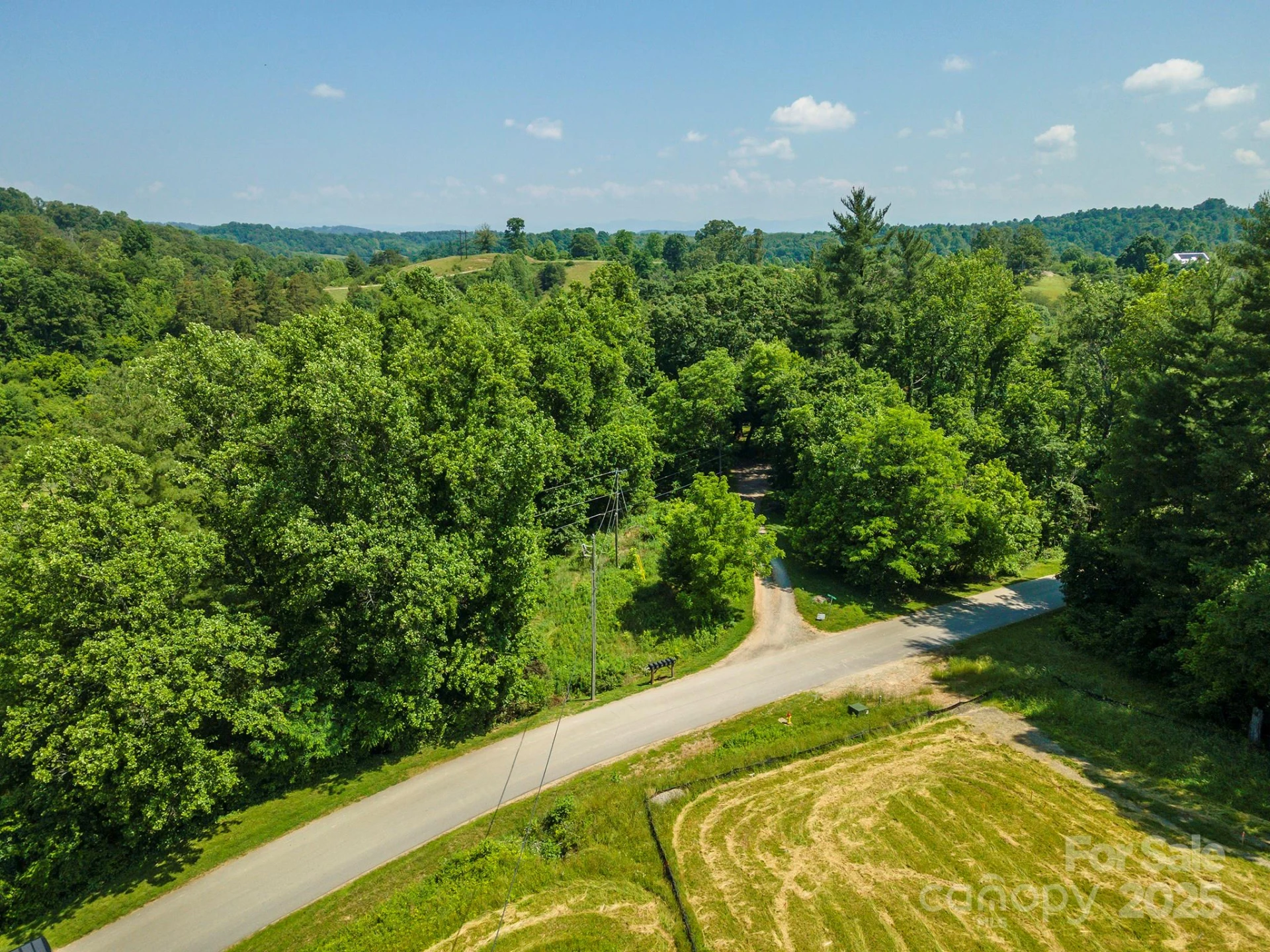 15 French Broad River Way #90 - Photo 13
