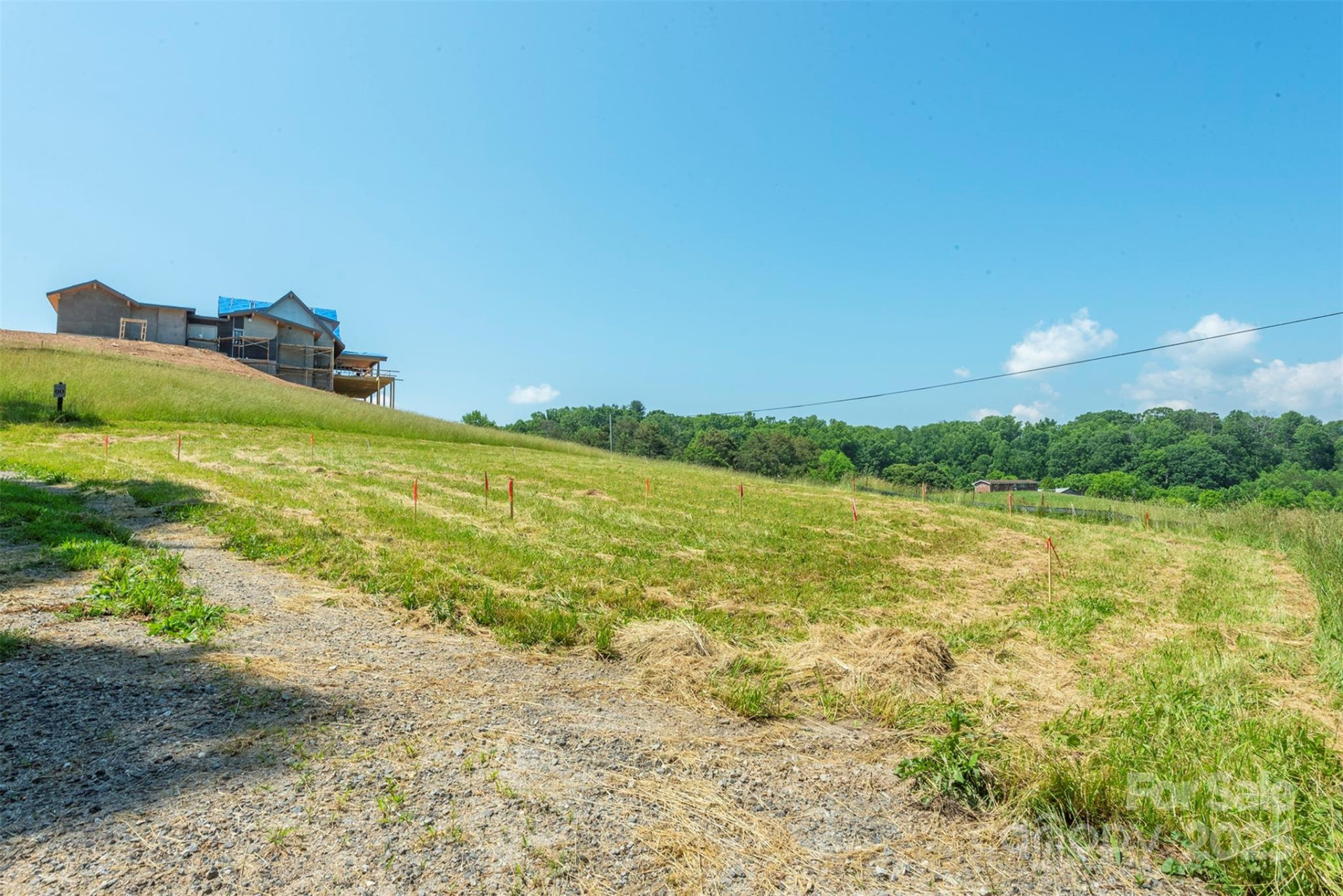 15 French Broad River Way #90 - Photo 16