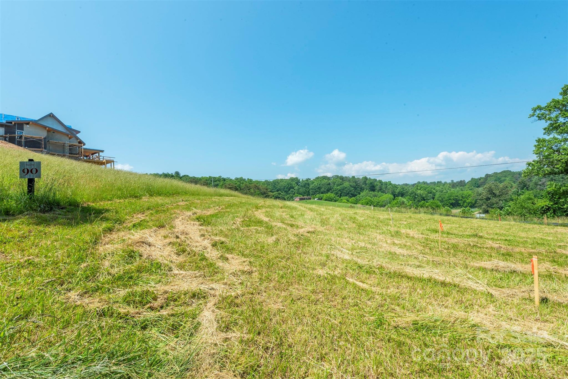 15 French Broad River Way #90 - Photo 17