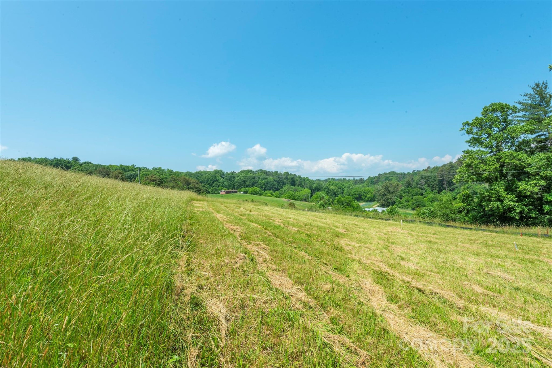 15 French Broad River Way #90 - Photo 18