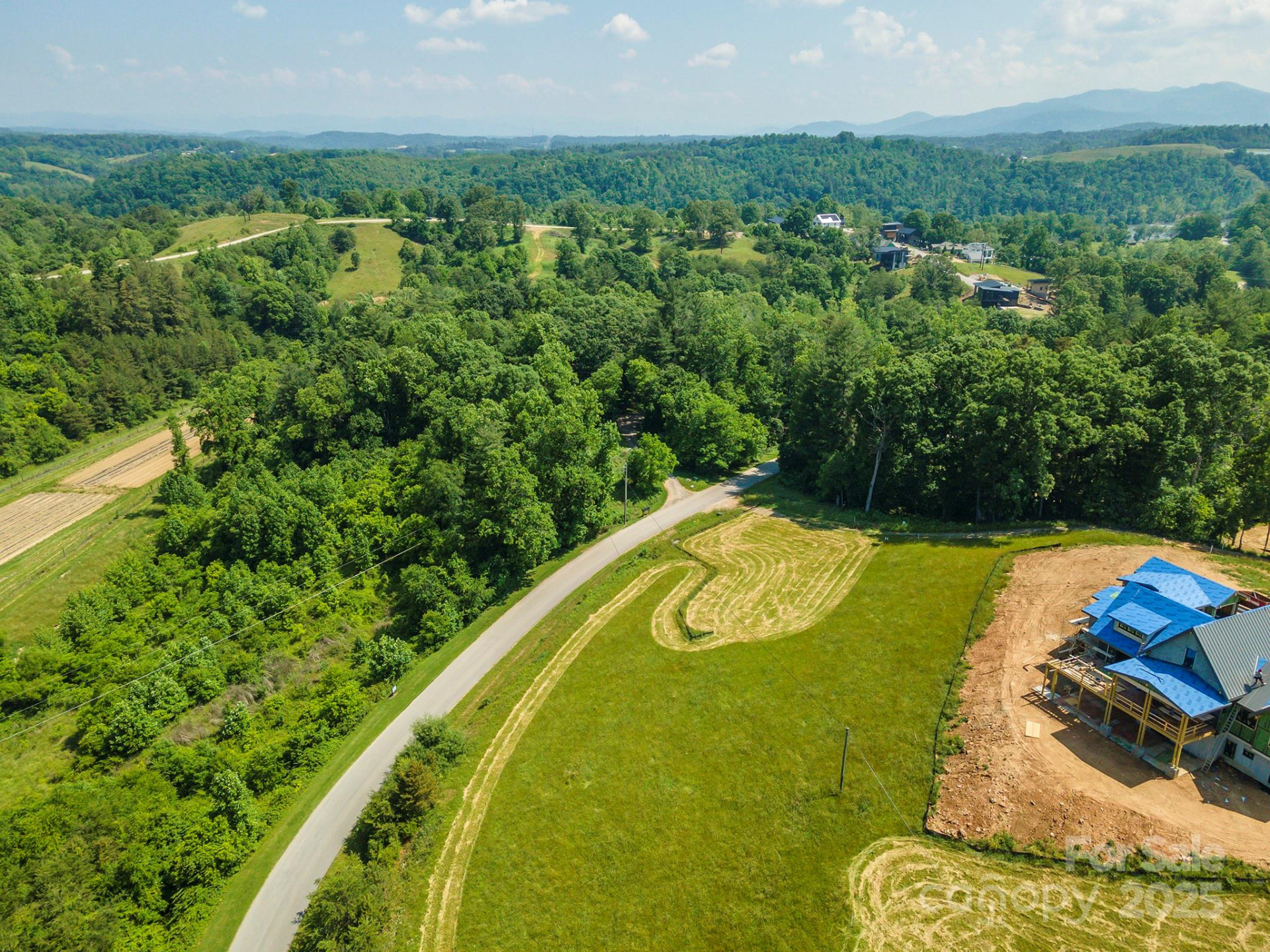 15 French Broad River Way #90 - Photo 3