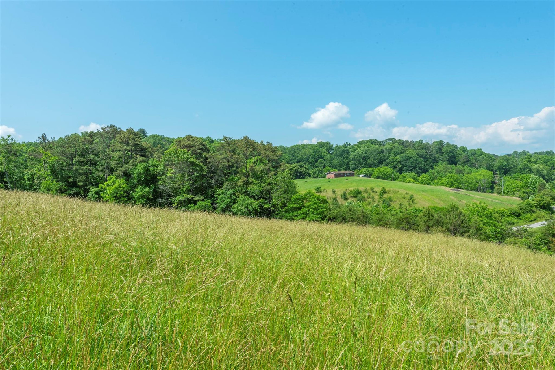 15 French Broad River Way #90 - Photo 21