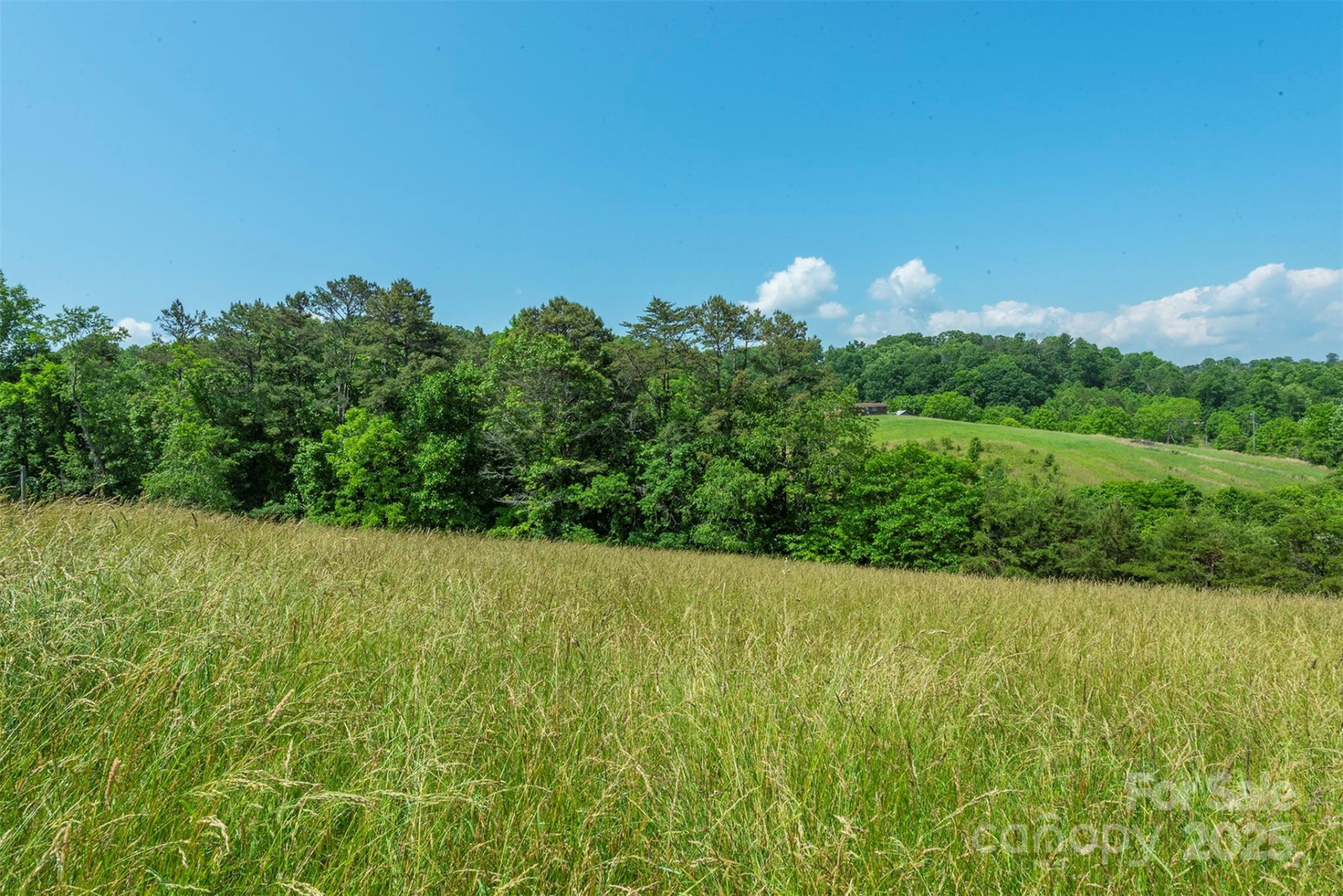 15 French Broad River Way #90 - Photo 22