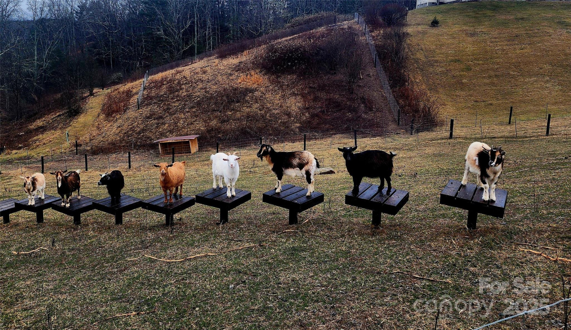 15 French Broad River Way #90 - Photo 45