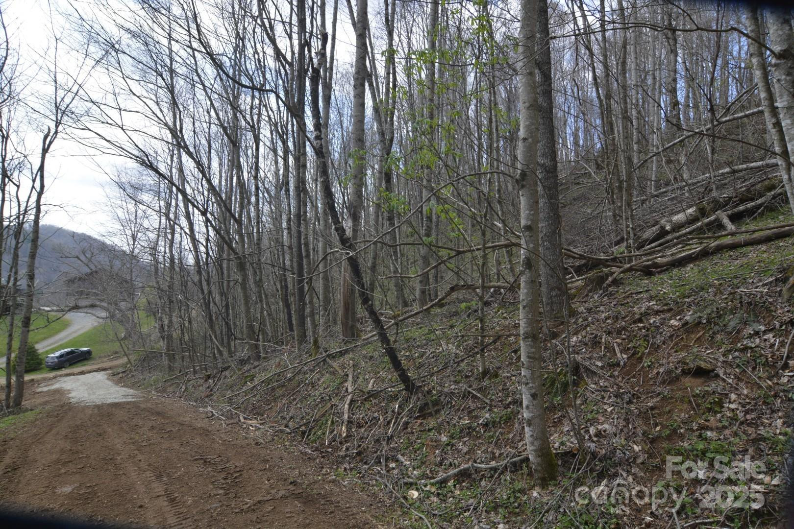 220 Screaming Eagle Drive - Photo 11