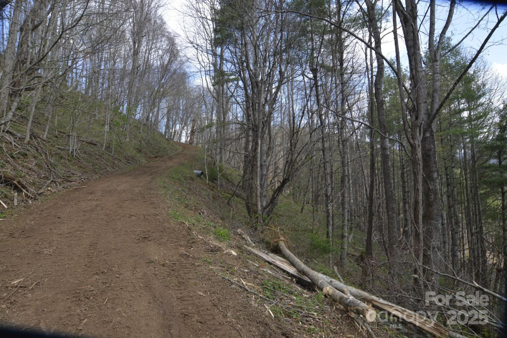 220 Screaming Eagle Drive - Photo 12