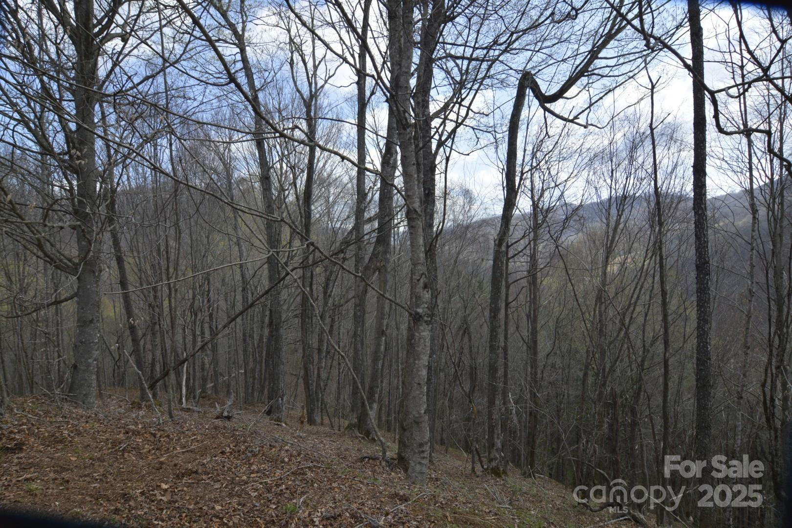 220 Screaming Eagle Drive - Photo 13