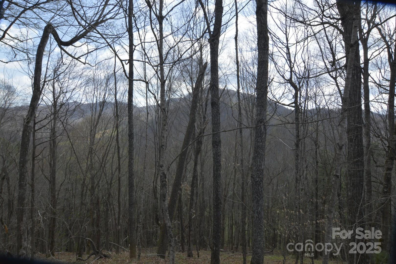 220 Screaming Eagle Drive - Photo 14