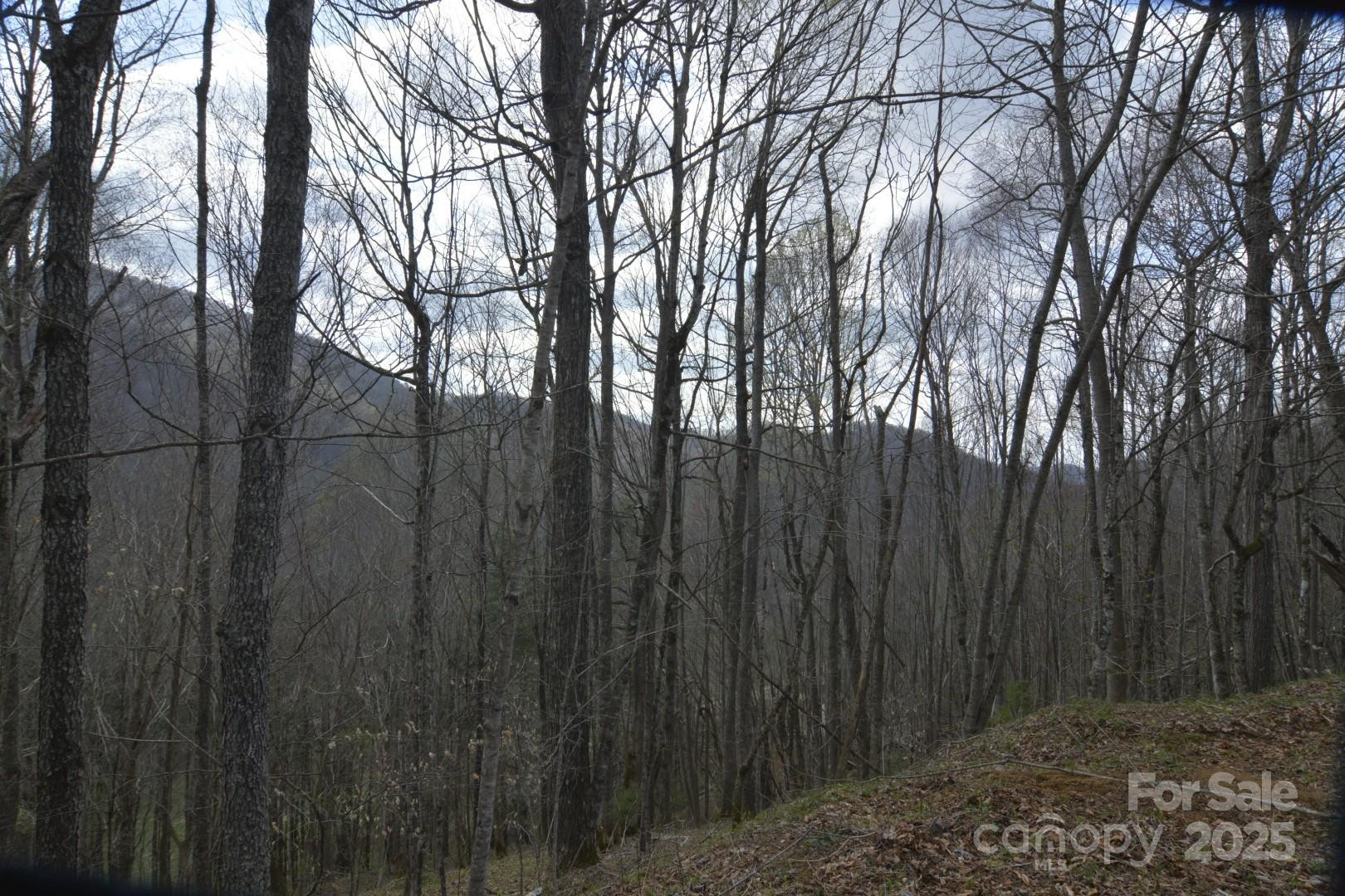 220 Screaming Eagle Drive - Photo 15