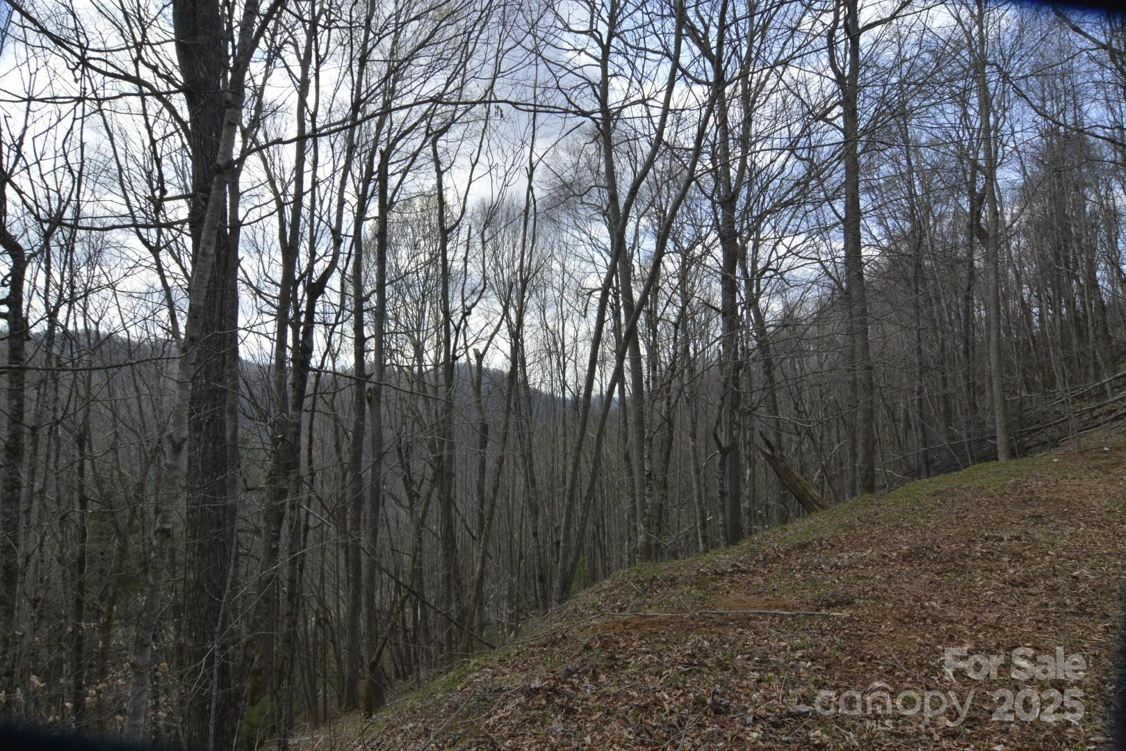 220 Screaming Eagle Drive - Photo 16