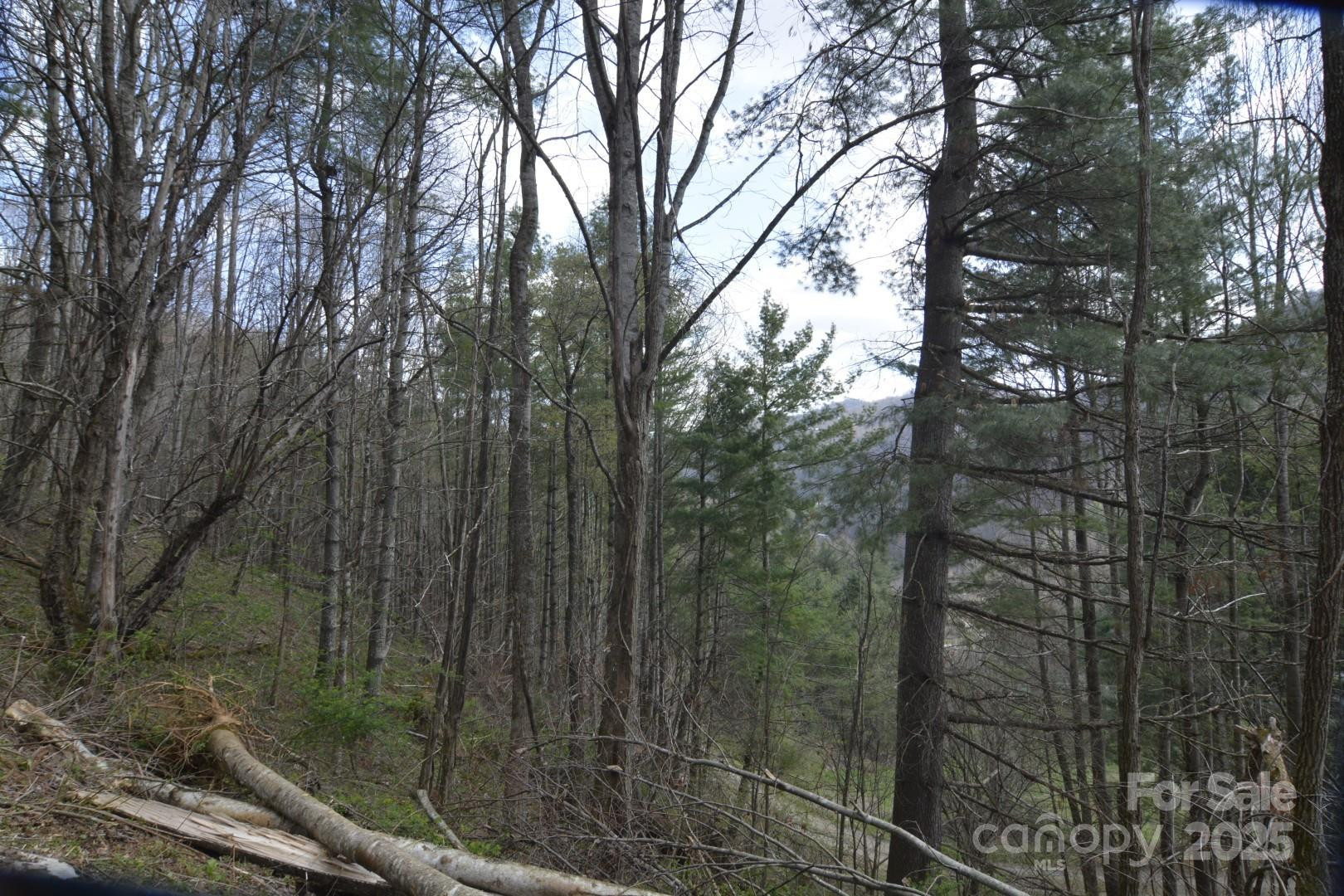 220 Screaming Eagle Drive - Photo 17