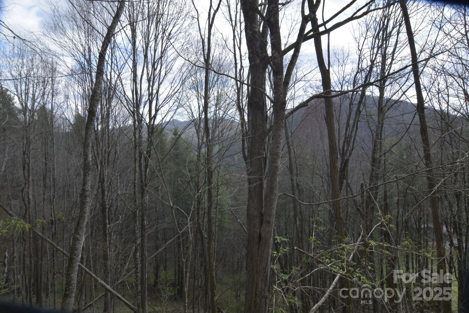 220 Screaming Eagle Drive - Photo 18