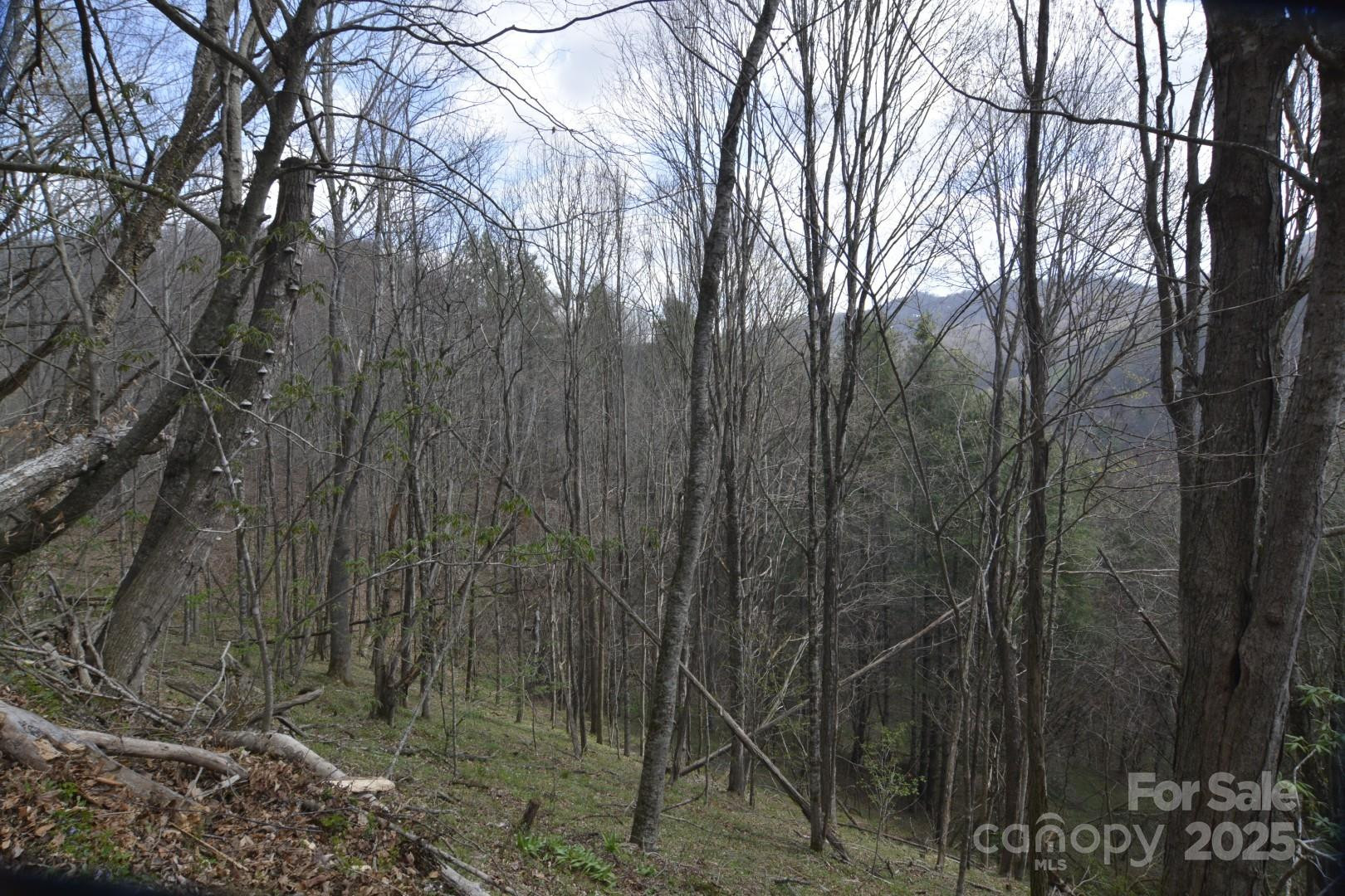 220 Screaming Eagle Drive - Photo 19