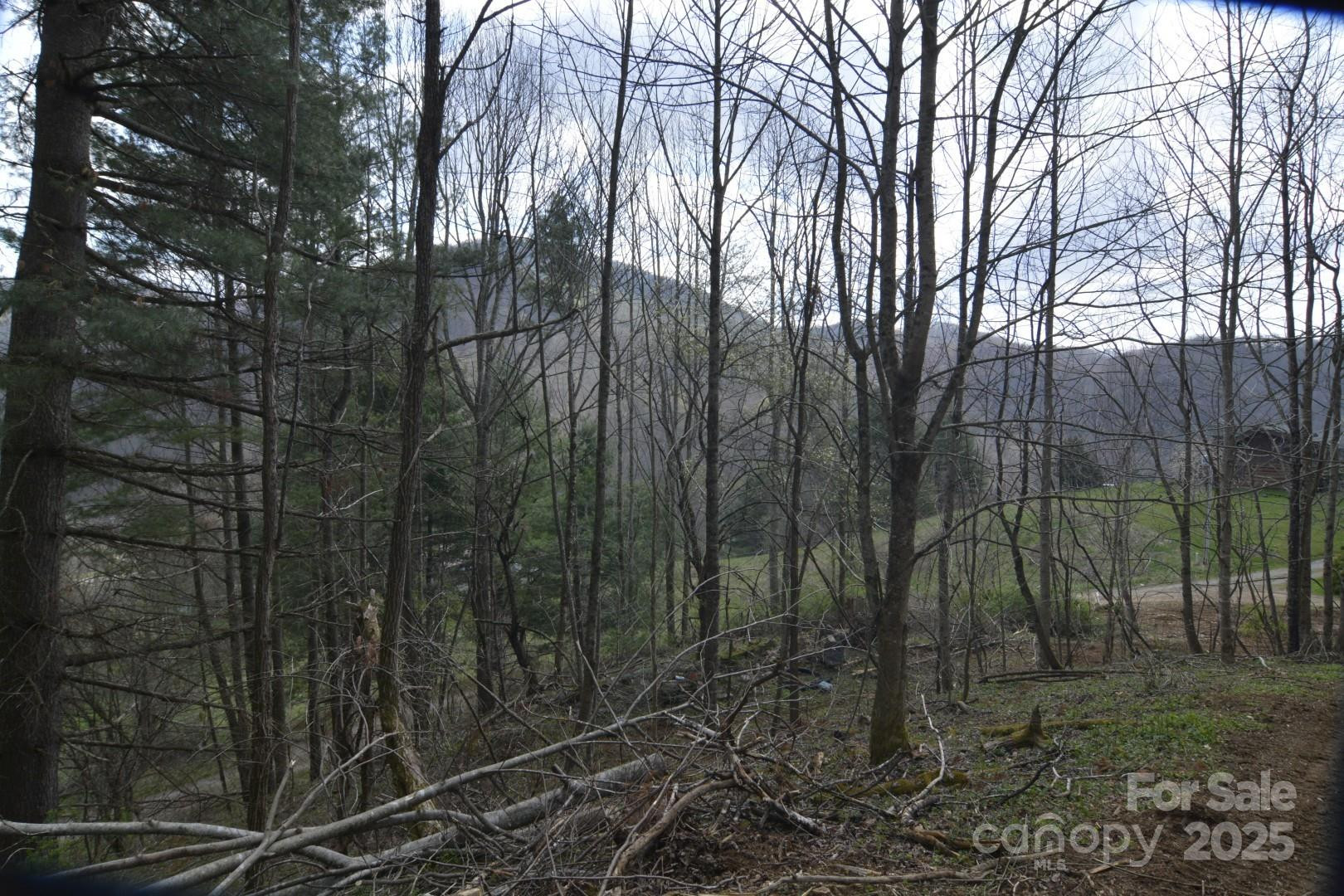 220 Screaming Eagle Drive - Photo 20