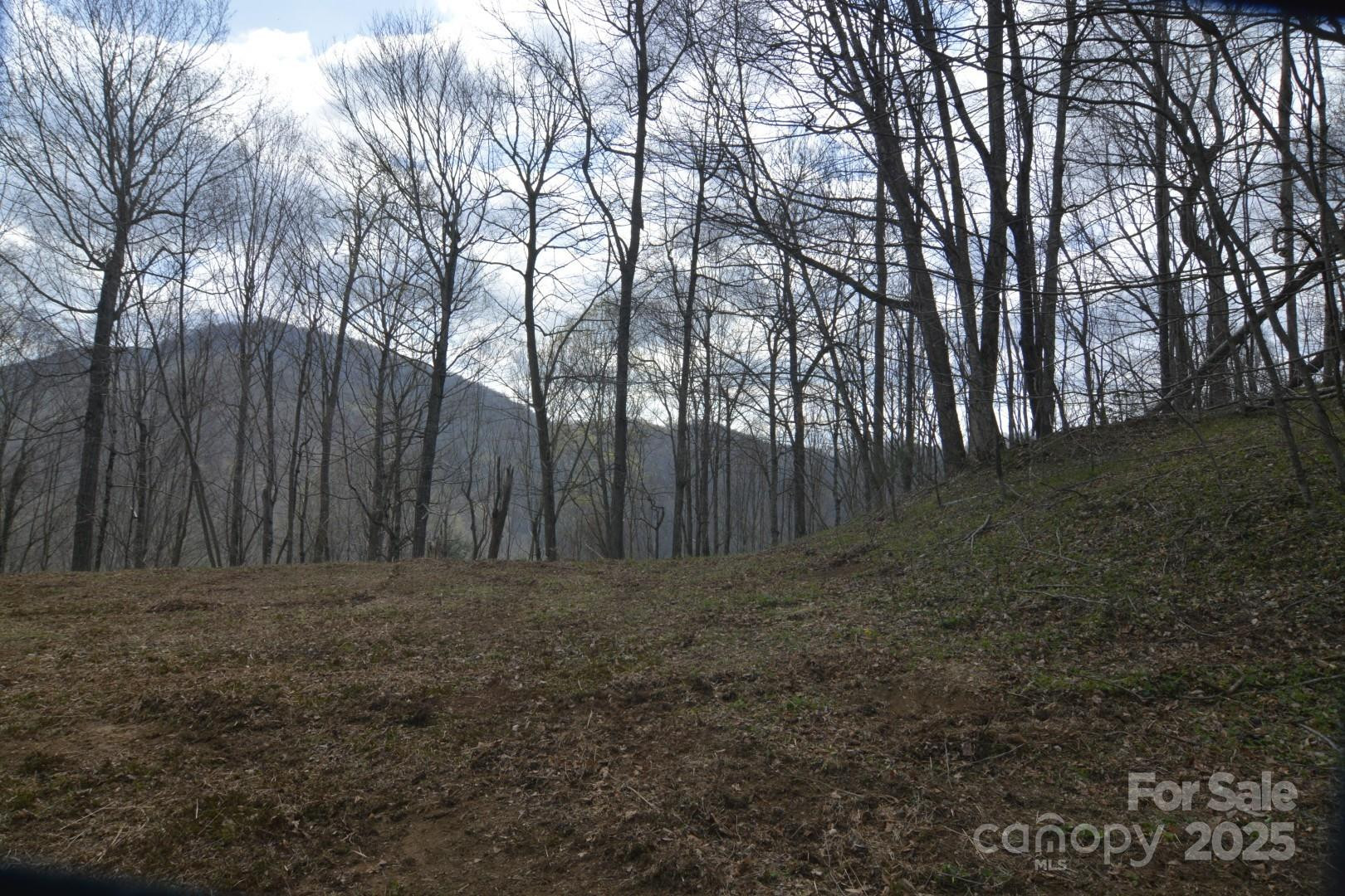 220 Screaming Eagle Drive - Photo 4