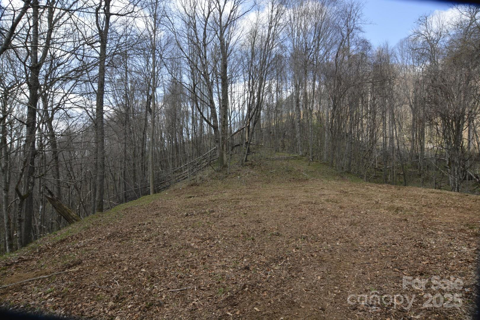 220 Screaming Eagle Drive - Photo 5