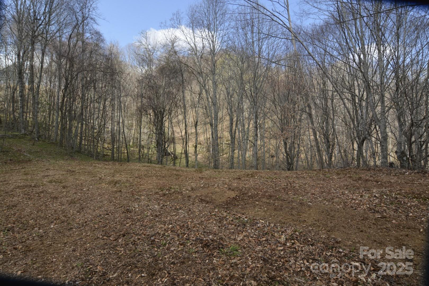 220 Screaming Eagle Drive - Photo 6