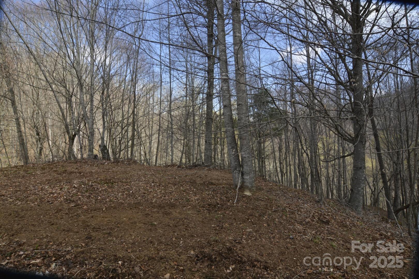 220 Screaming Eagle Drive - Photo 7