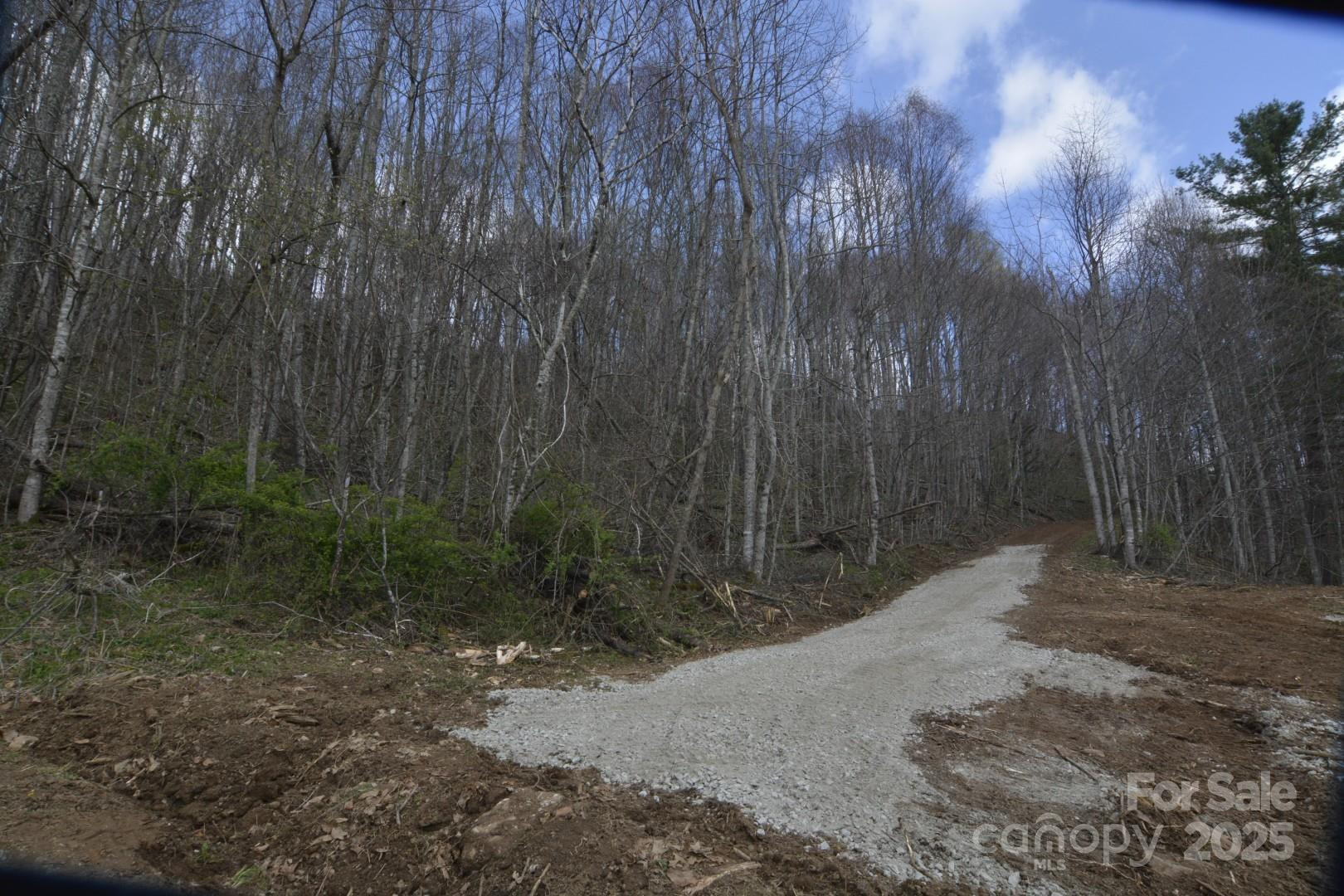 220 Screaming Eagle Drive - Photo 8